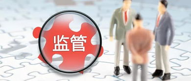 基于数据中台的智慧监管研究与探索